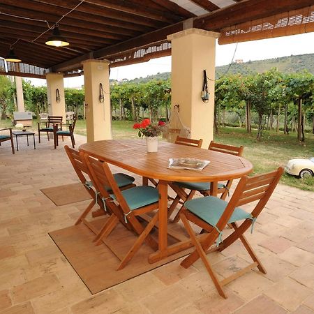 B&B Conca Del Pretore ลอเรโต อาปรุนติโน ภายนอก รูปภาพ