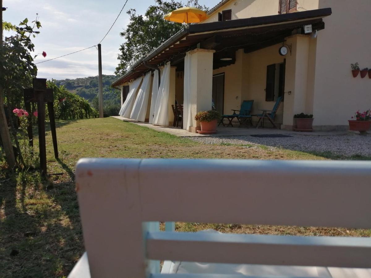 B&B Conca Del Pretore ลอเรโต อาปรุนติโน ภายนอก รูปภาพ