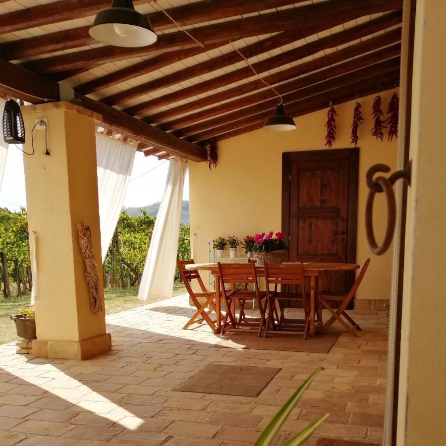 B&B Conca Del Pretore ลอเรโต อาปรุนติโน ภายนอก รูปภาพ
